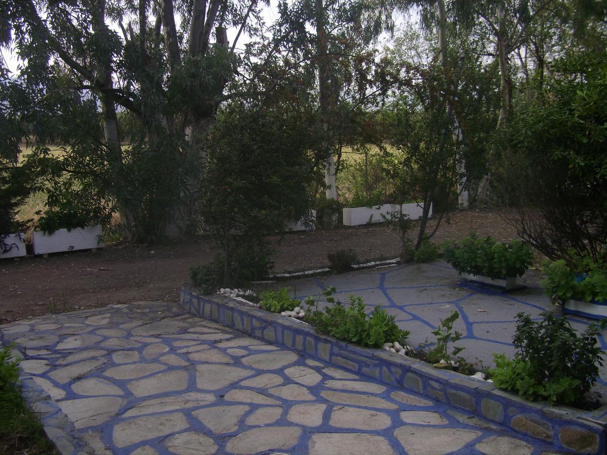 Villa Zoi Thronion Exterior photo